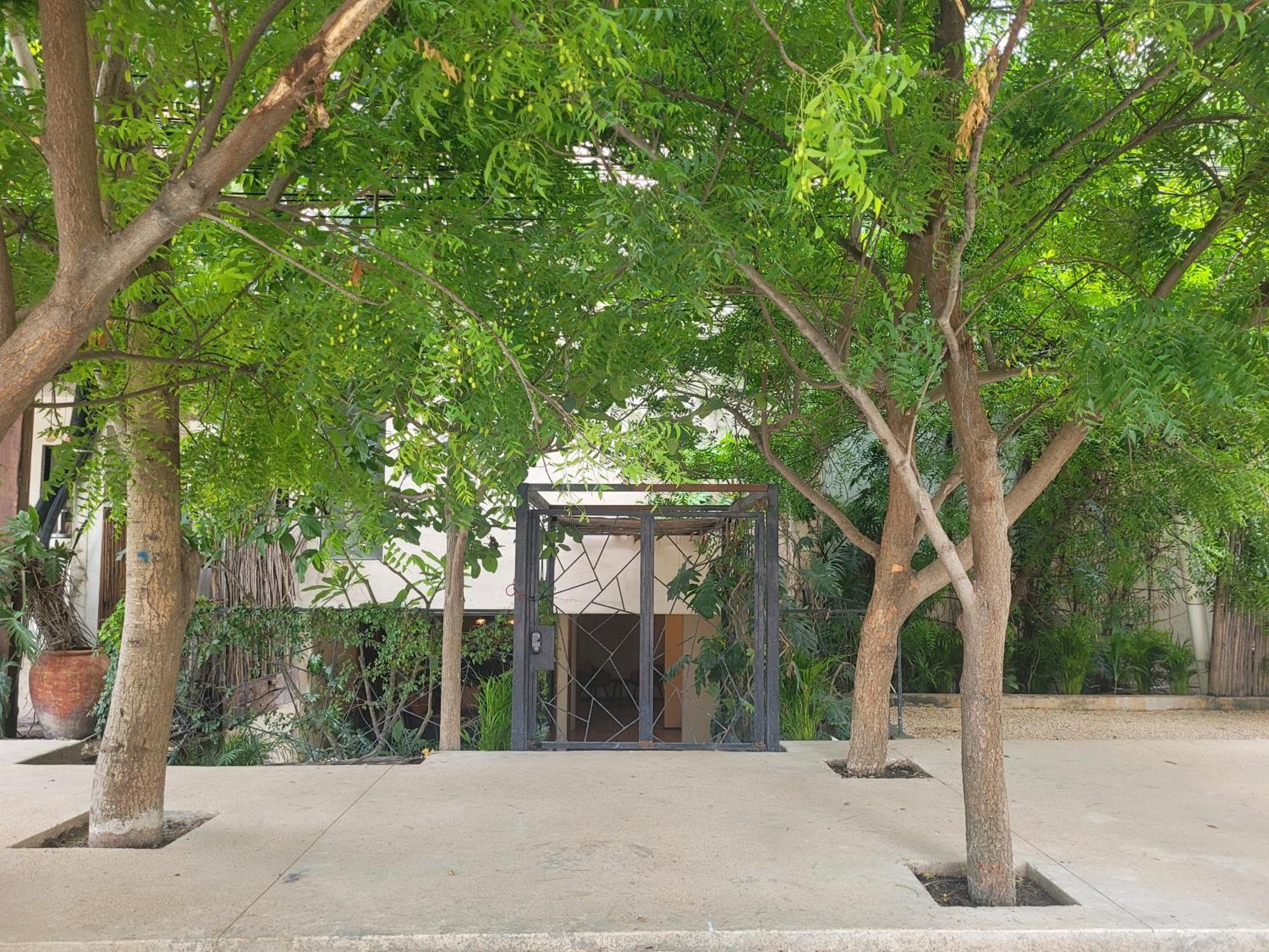 Kahatsa' Boutique Hotel Tulum Dış mekan fotoğraf